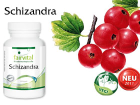 Schizandra (WuWeiZi)